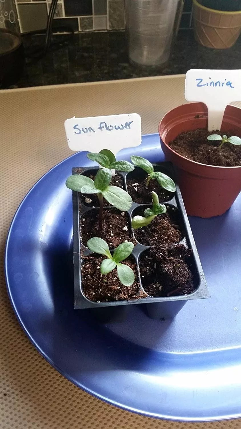 Etichete pentru plante, 10 buc.