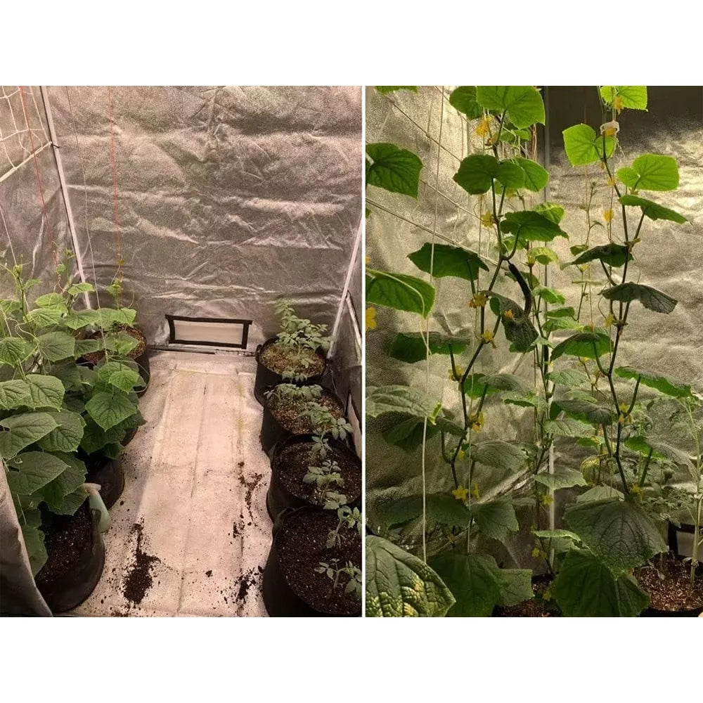 Cort pentru plante "Grow tent"