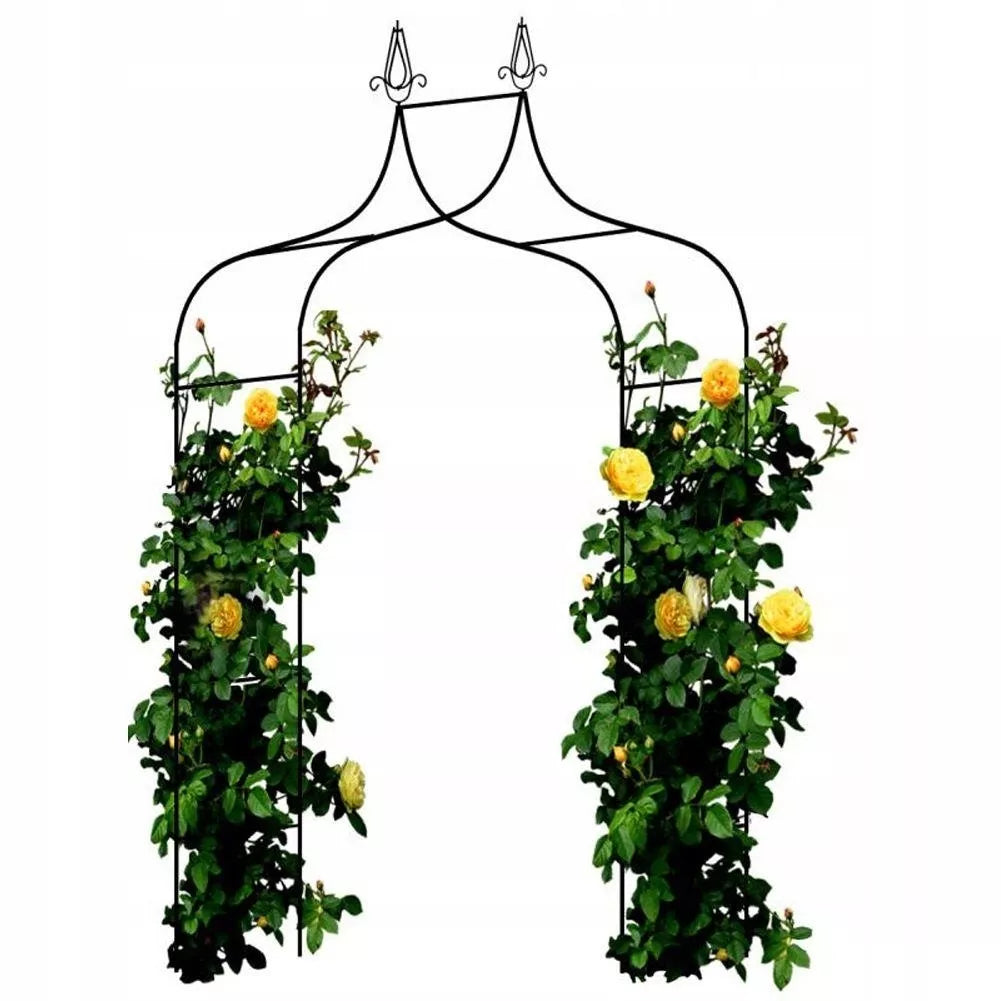 Pergolă de grădină pentru plante 150 × 37 × 240 cm, metalică, neagră