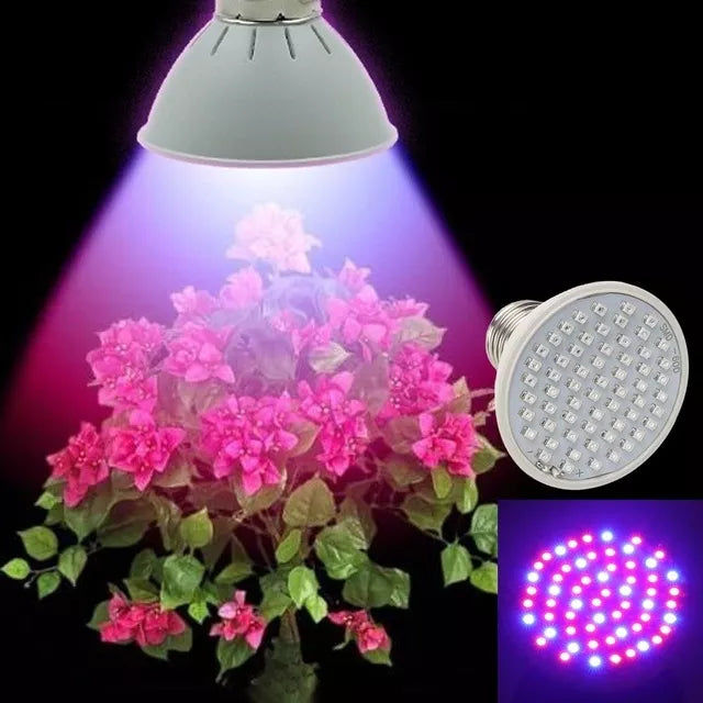 Lampă de creștere a plantelor 5W