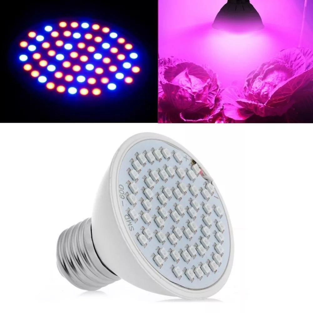 Lampă de creștere a plantelor 5W