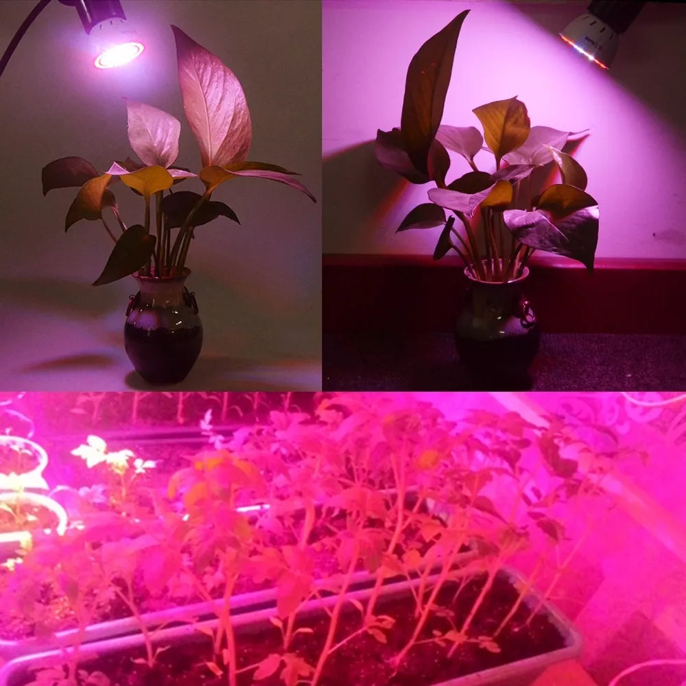 Lampă de creștere a plantelor 5W