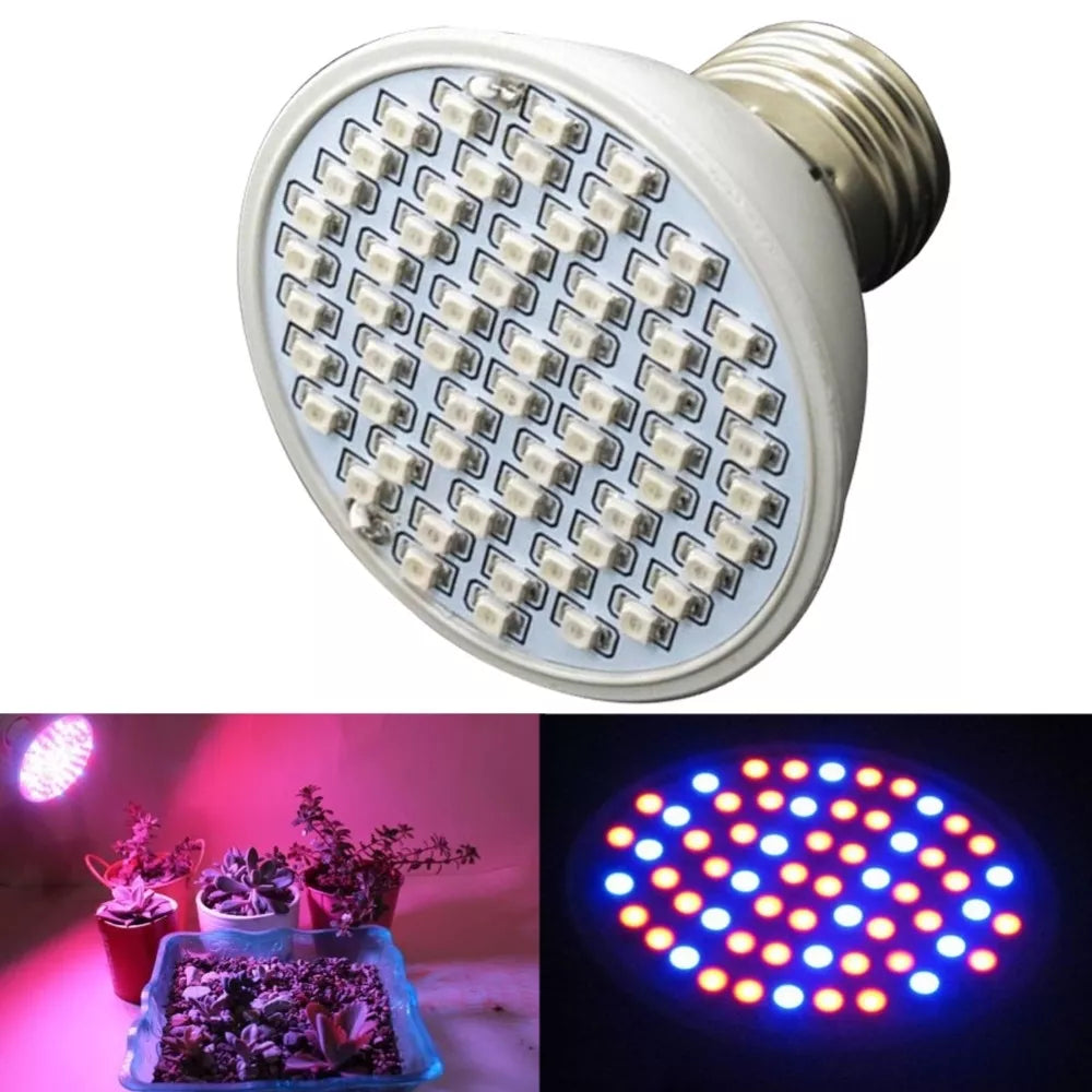 Lampă de creștere a plantelor 5W