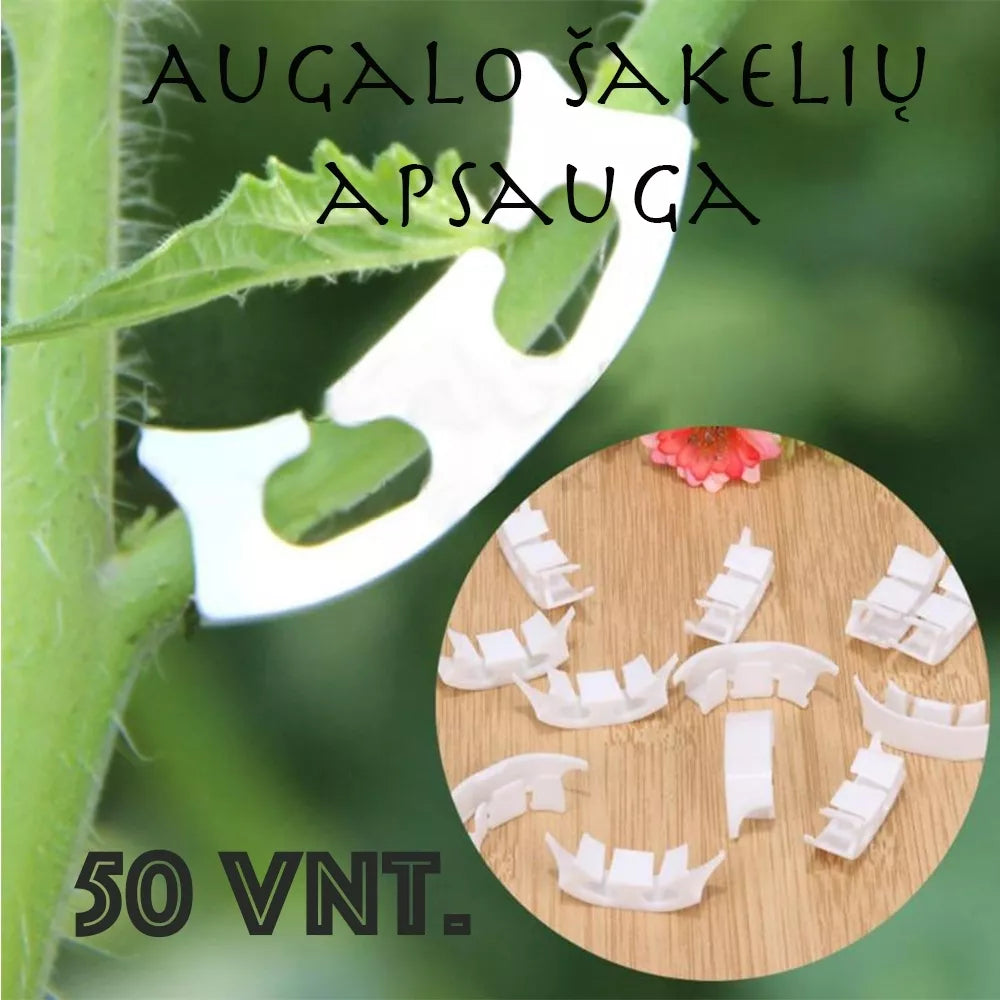 Suporturi pentru ramuri de plante, 50 buc.