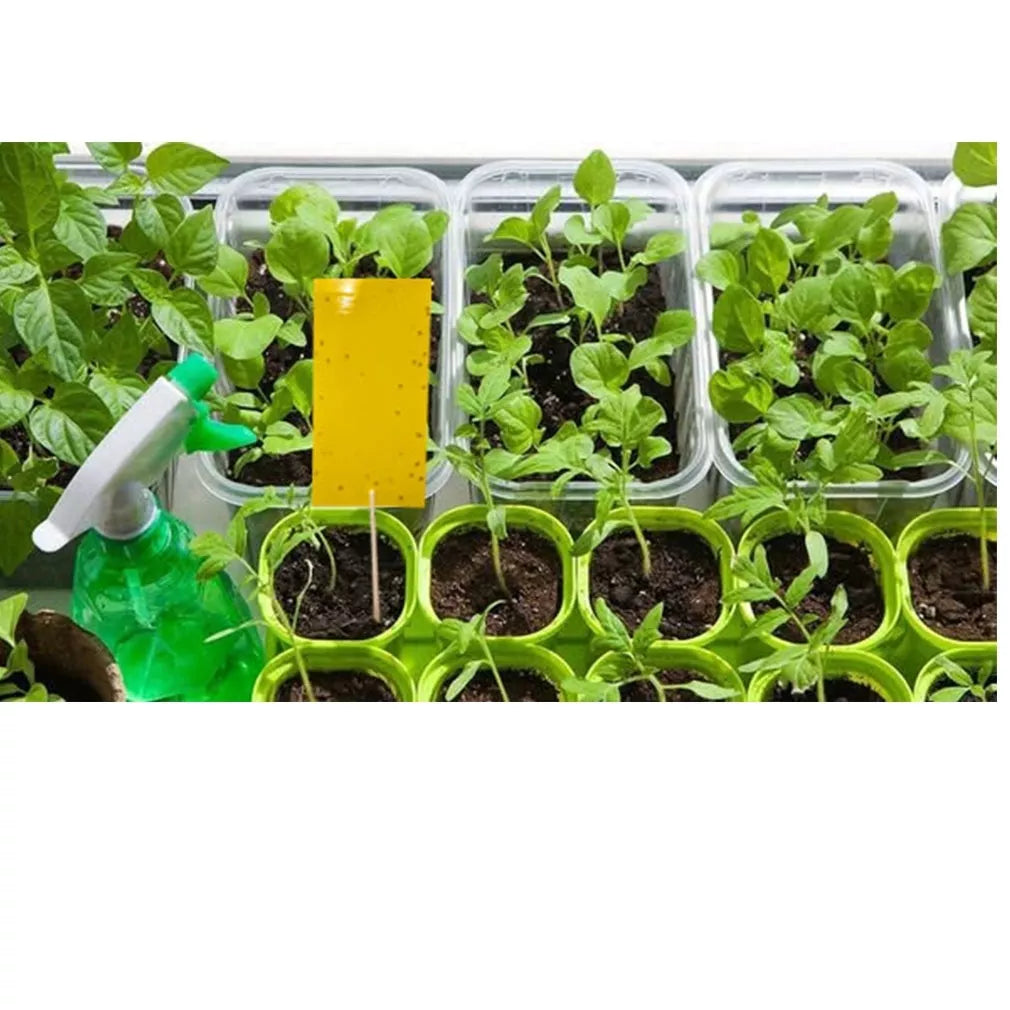 Magnet start galben (7x14cm) capcane pentru musculițe albe, ploșnițe, afide, 12 buc