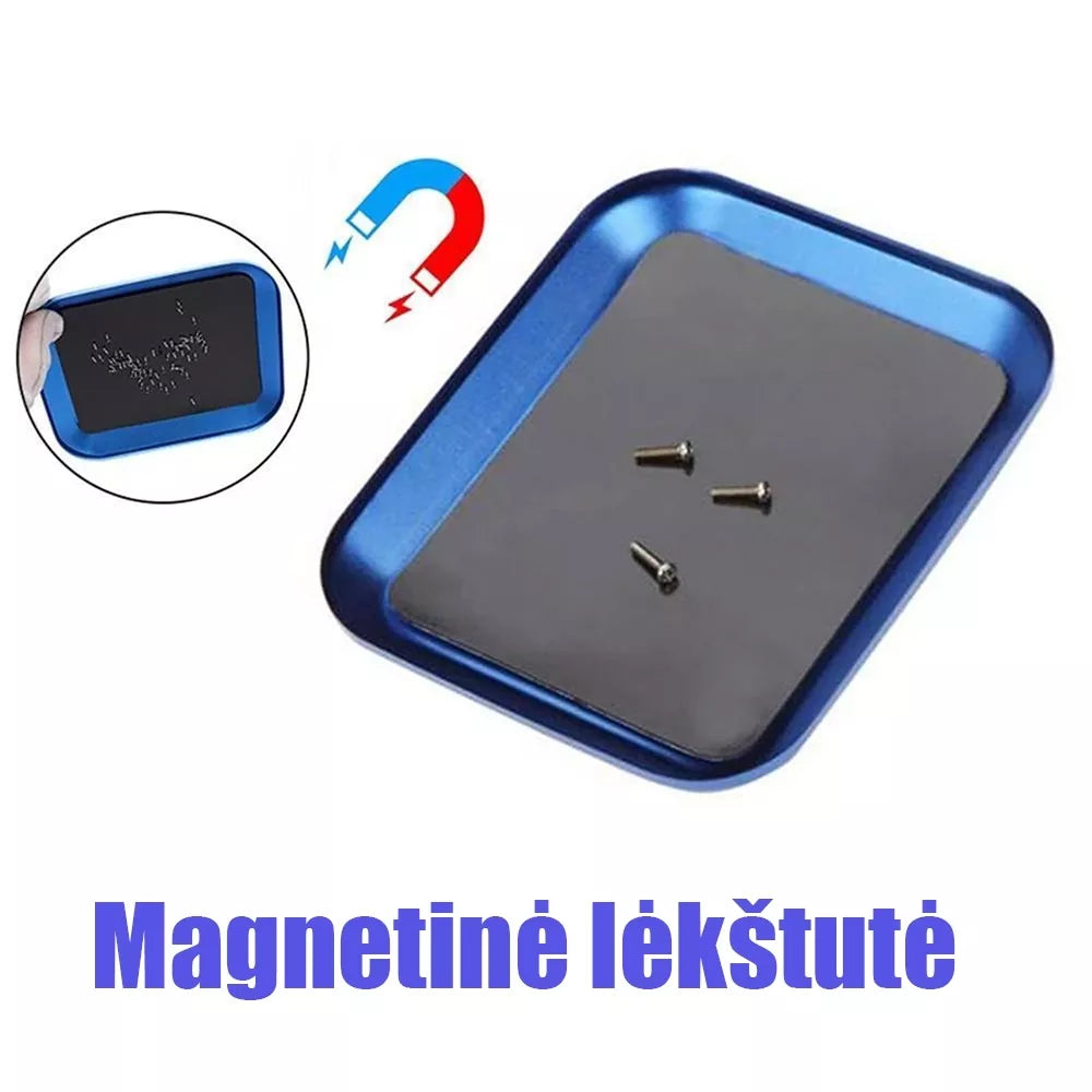 Farfurie magnetică