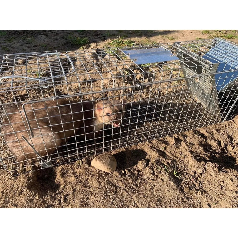 Capcană pentru nurci 82X20X27