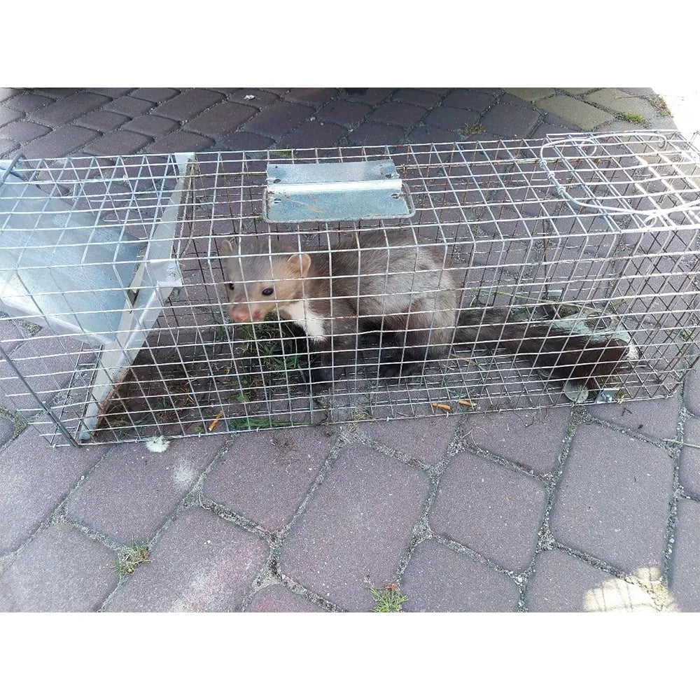 Capcană pentru nurci 82X20X27