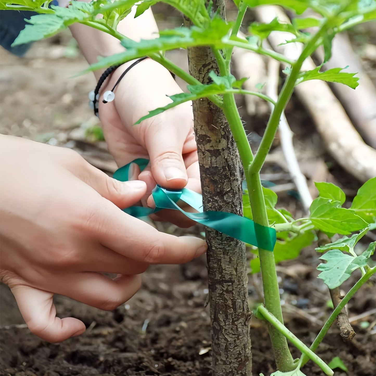 Bandă de fixare pentru plante de grădină din PVC