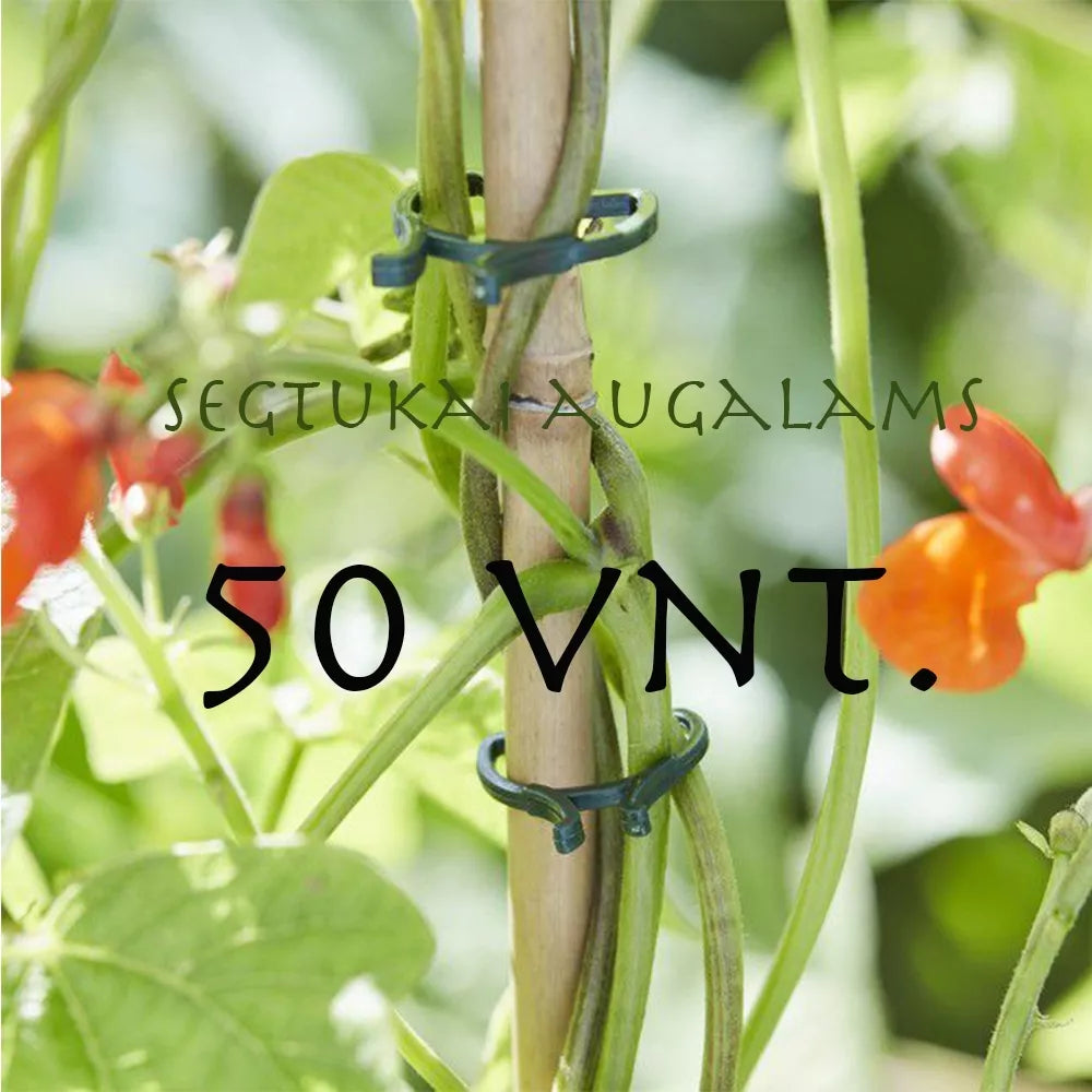 Clame pentru plante, 50 buc.