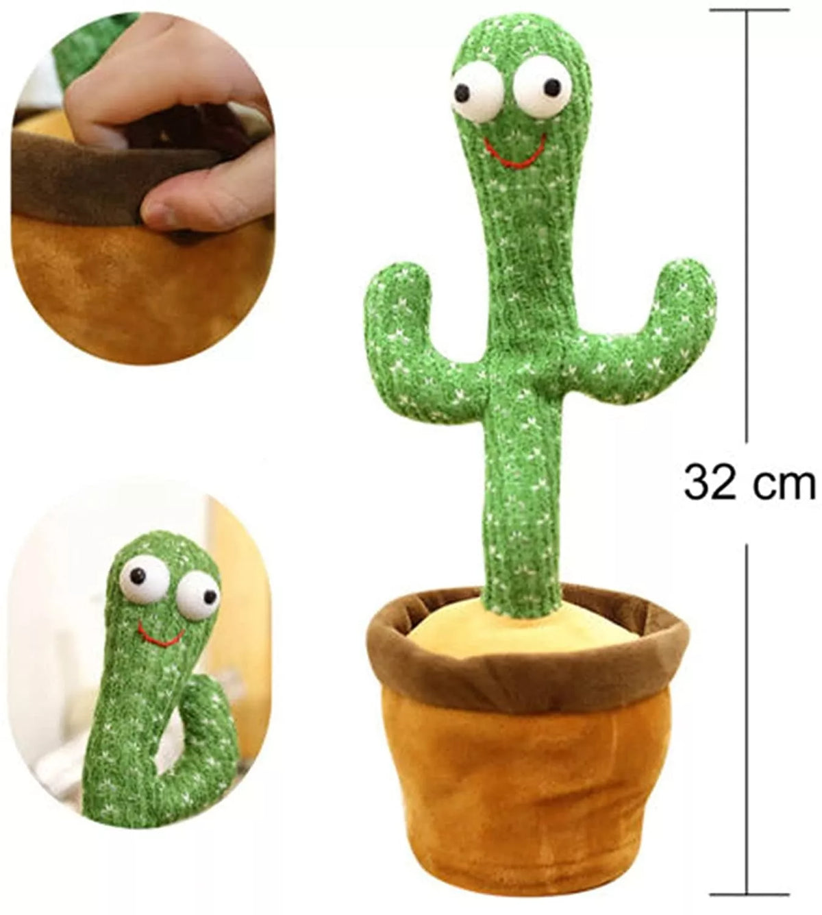 Cactus dansator care repetă cuvintele