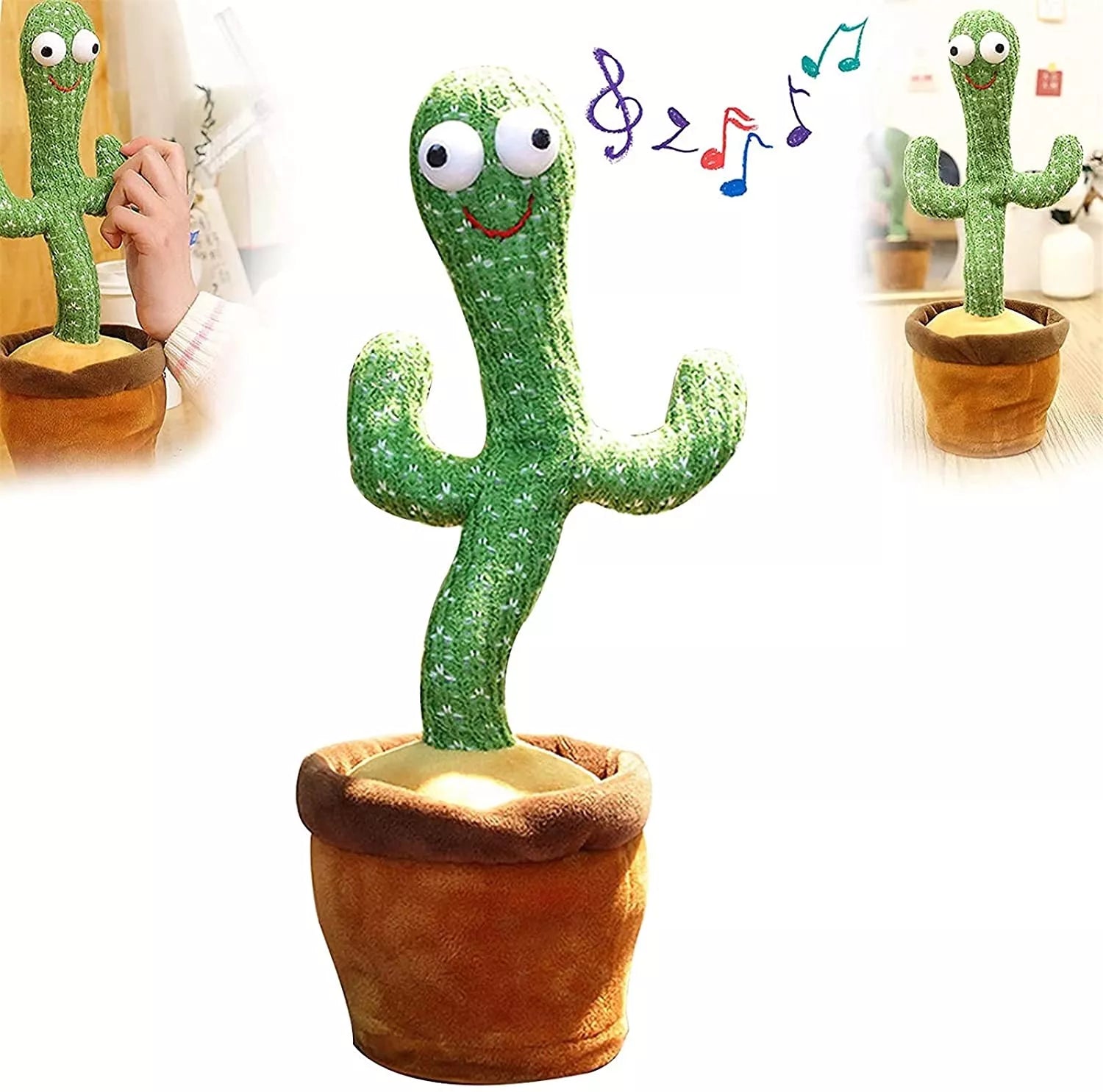 Cactus dansator care repetă cuvintele