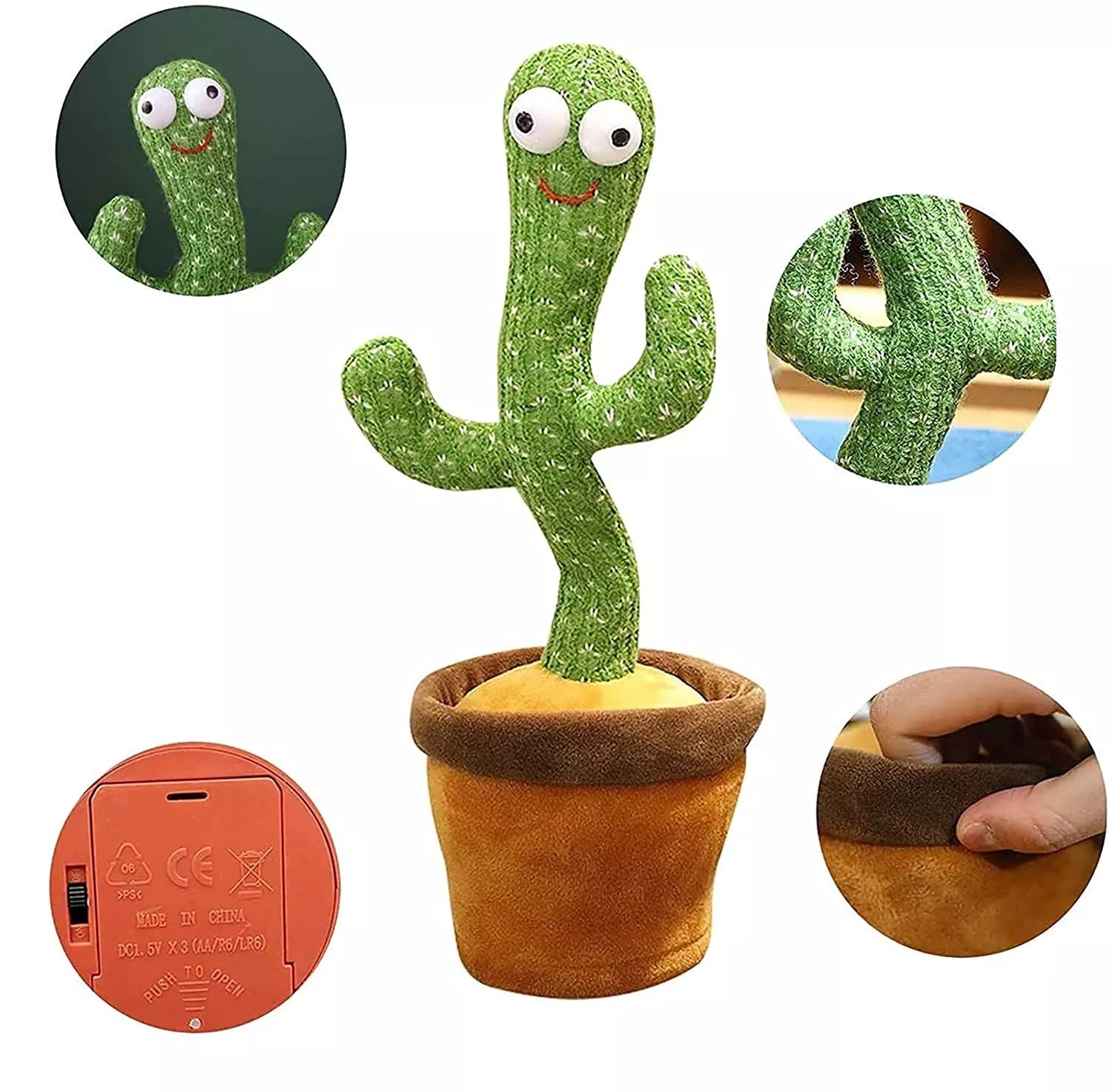 Cactus dansator care repetă cuvintele