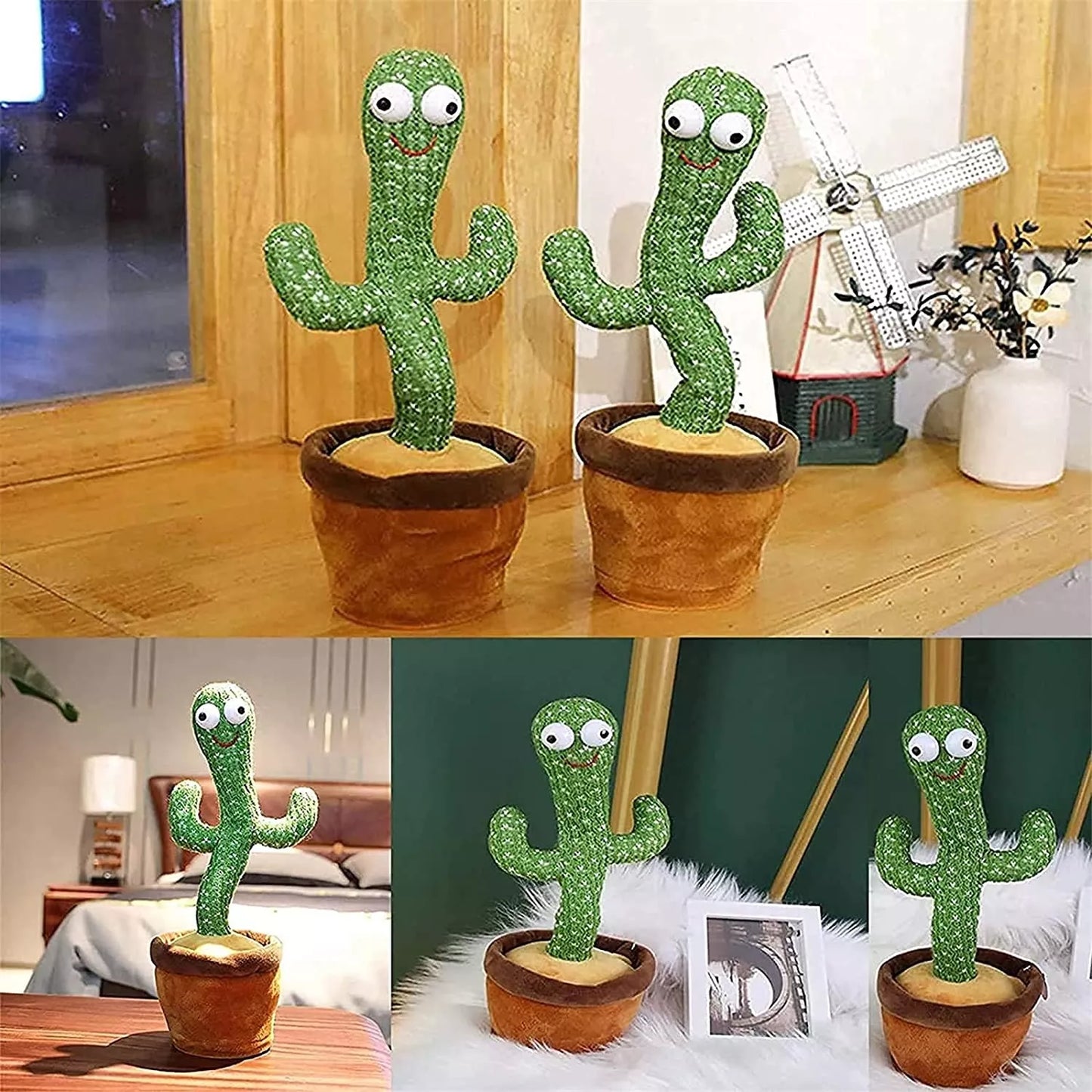 Cactus dansator care repetă cuvintele