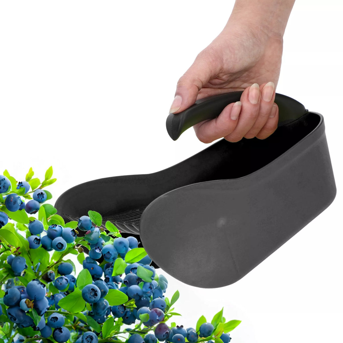 Dispozitiv de cules fructe de pădure