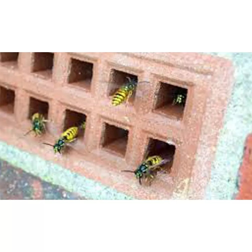 WACIP DUST pulbere pentru insecte târâtoare și viespi, 500 g
